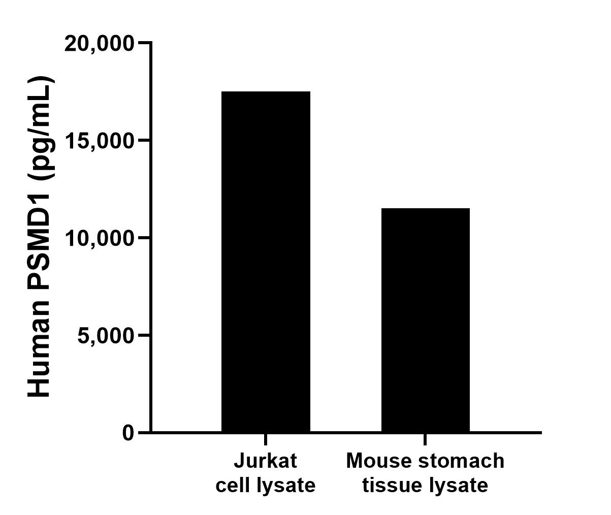 Mouse stomach tissue lysate and Jurkat cell lysate were measured. The human PSMD1 concentration of detected samples was determined to be 11,510.8 pg/mL in mouse stomach lysate (based on a 4.0 mg/mL extract load) and 17,515.2 pg/mL in Jurkat cell lysate (based on a 3.4 mg/mL extract load).	